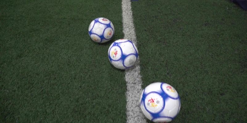 giai thich bong co la gi