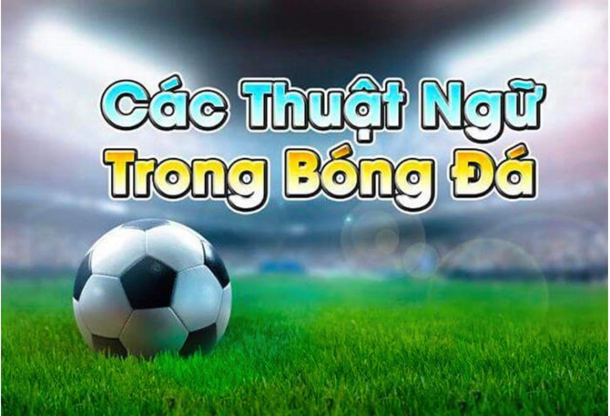 thuat ngu ca do bong da 1