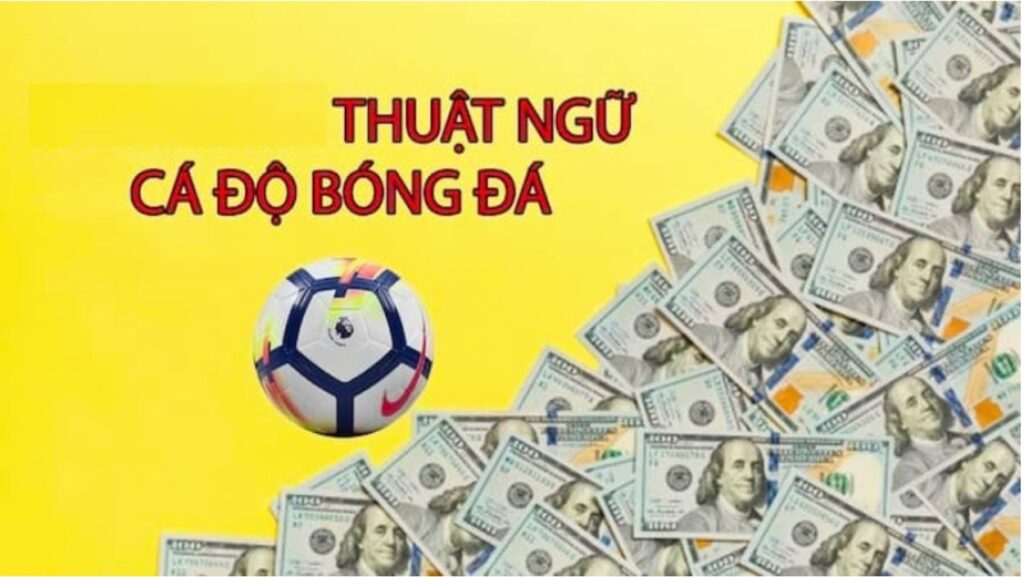 thuat ngu ca do bong da 2