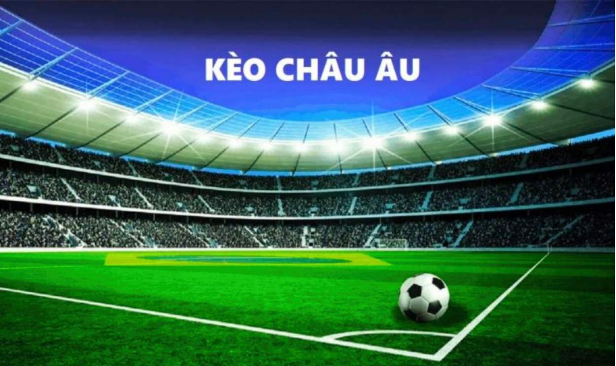 thuat ngu ca do bong da 4