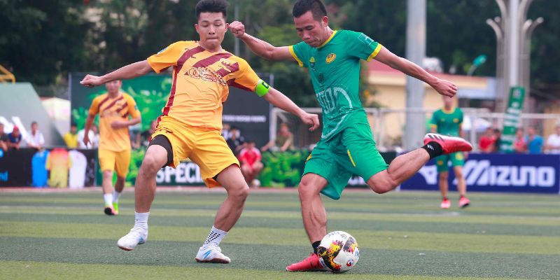 tim hieu bong co la gi